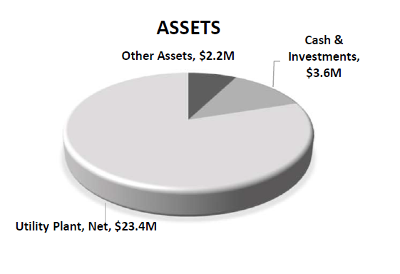Assets Pie Chart