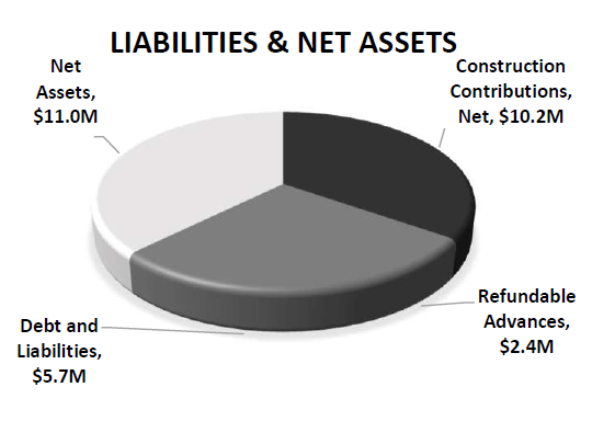 Liabilities and Net Assets Pie Chart